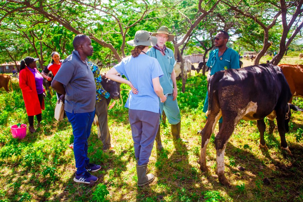 Top Photography & Videography services in Nairobi, Kenya – Oramedia in Uganda – THE BIG PICTURE